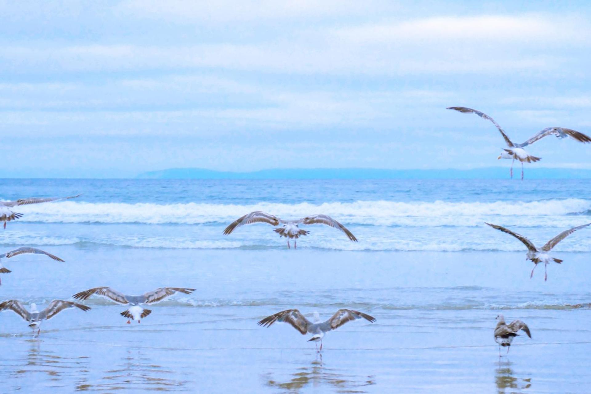 Beach Appartement 17 - Aan De Duinen, Callantsoog Aan Zee ภายนอก รูปภาพ