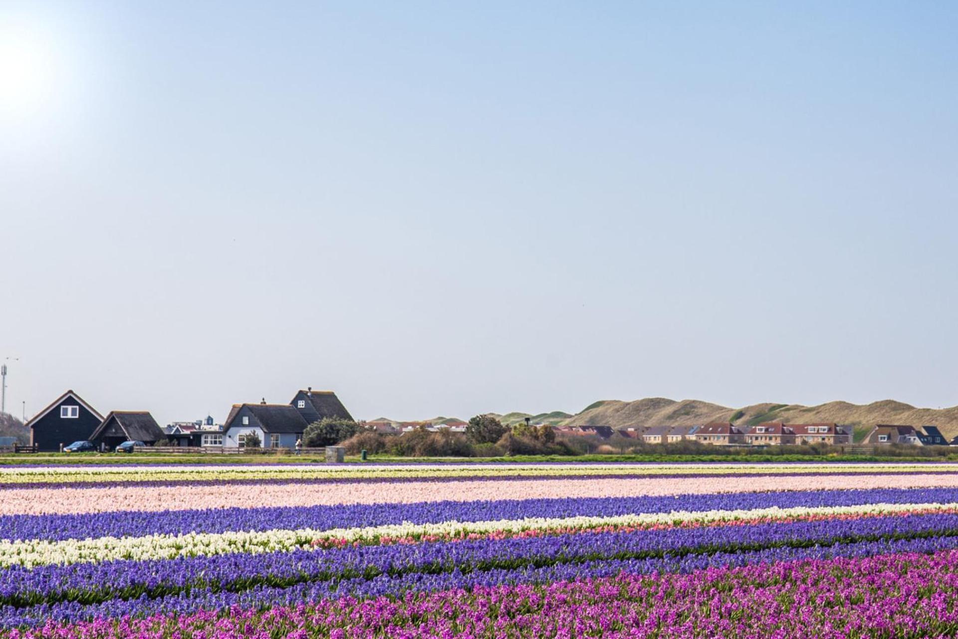 Beach Appartement 17 - Aan De Duinen, Callantsoog Aan Zee ภายนอก รูปภาพ